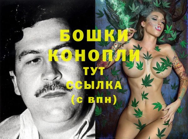 стафф Каменка
