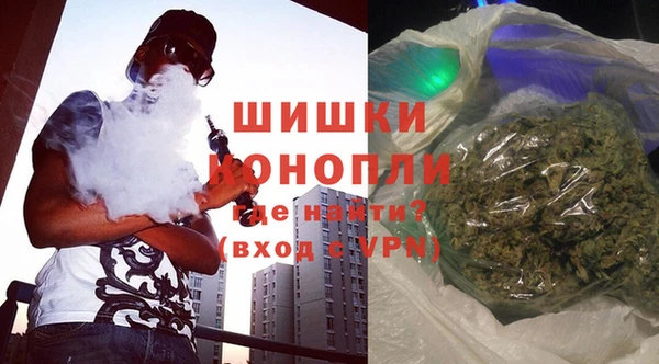 стафф Каменка