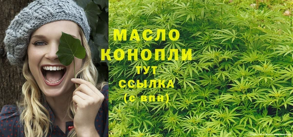 стафф Каменка