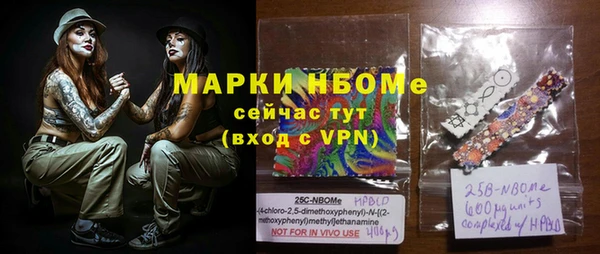 стафф Каменка