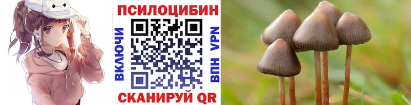 Галлюциногенные грибы MAGIC MUSHROOMS  Купить  Заволжье 